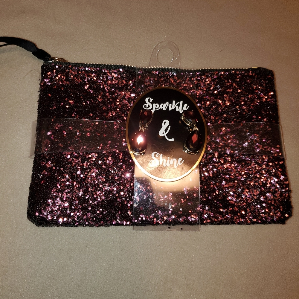 Nwt cosmetic bag and earings